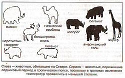 Антропологический детектив. Боги, люди, обезьяны... i_010.jpg