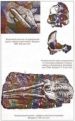 Антропологический детектив. Боги, люди, обезьяны... i_025.jpg