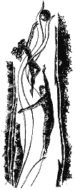Вогняний вершник doc2fb_image_03000003.png