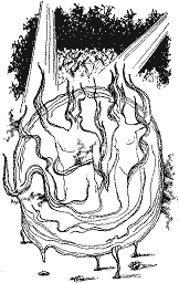 Вогняний вершник doc2fb_image_03000010.png