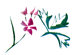Байкала-озера сказки Том II разд.2 i_003.png
