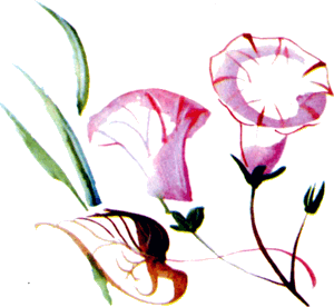 Байкала-озера сказки Том II разд.2 i_020.png