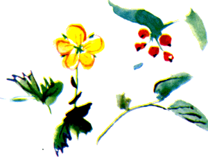 Байкала-озера сказки Том II разд.2 i_027.png