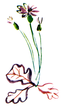 Байкала-озера сказки Том II разд.2 i_034.png
