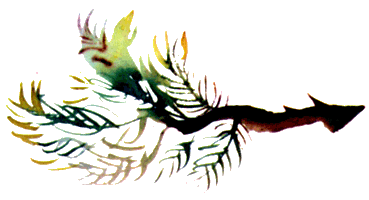 Байкала-озера сказки  Том II  разд.2 i_060.png