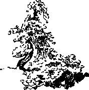 Тигр снегов any2fbimgloader20.png
