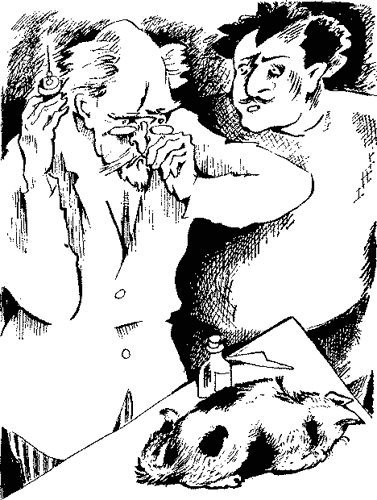 Кинто i_008.png