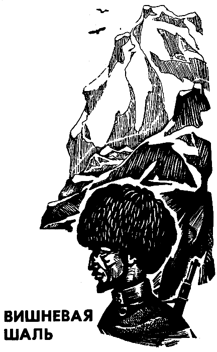 У каждого свой долг (Сборник) i_003.png
