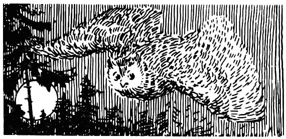 Еще один шаг i_010.png