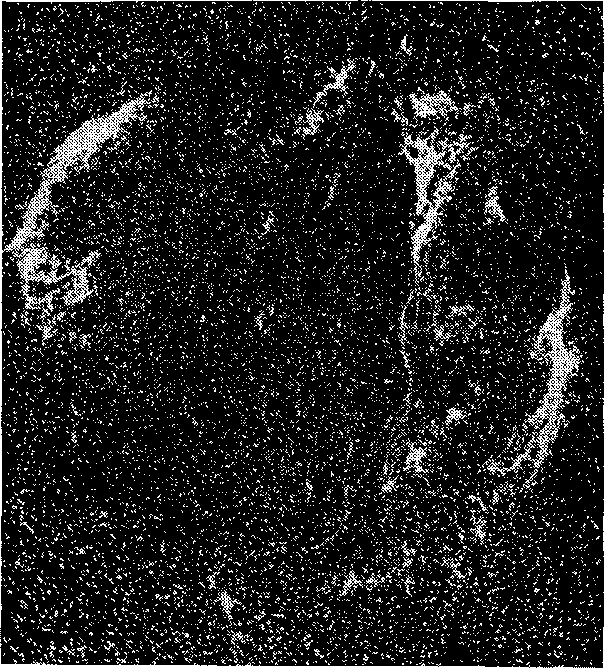 Звезды: их рождение, жизнь и смерть img_612.png
