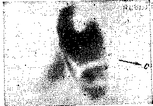 Звезды: их рождение, жизнь и смерть img_765.png