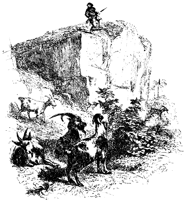 Робинзон Крузо (адаптированный вариант для детей) i_009.png