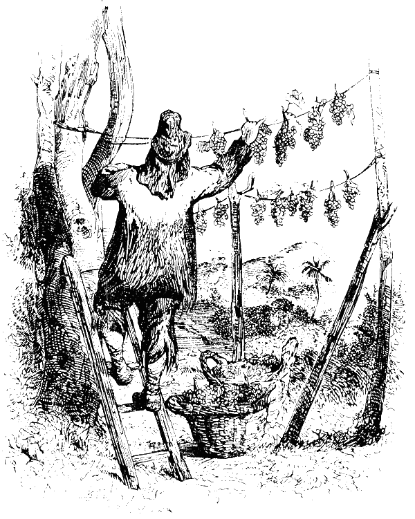 Робинзон Крузо (адаптированный вариант для детей) i_027.png