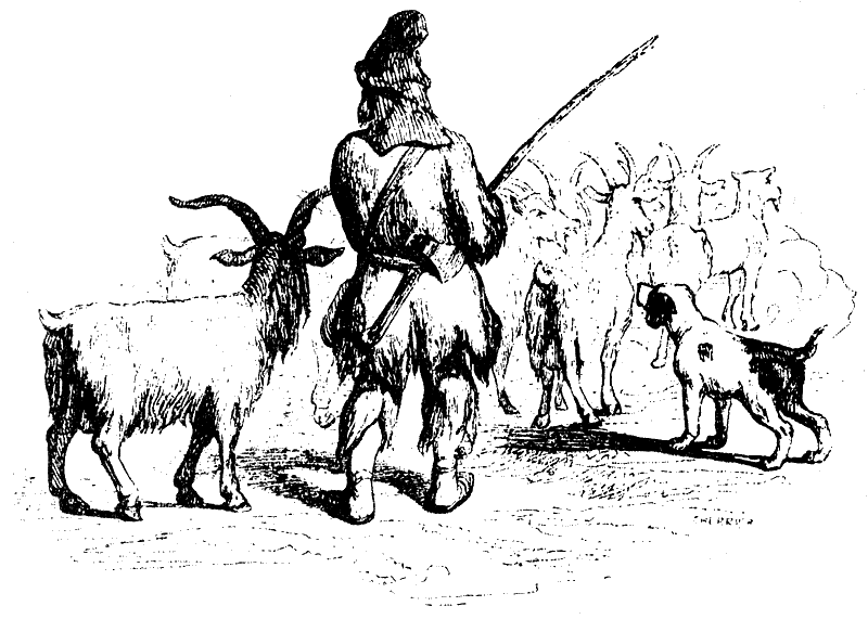Робинзон Крузо (адаптированный вариант для детей) i_035.png