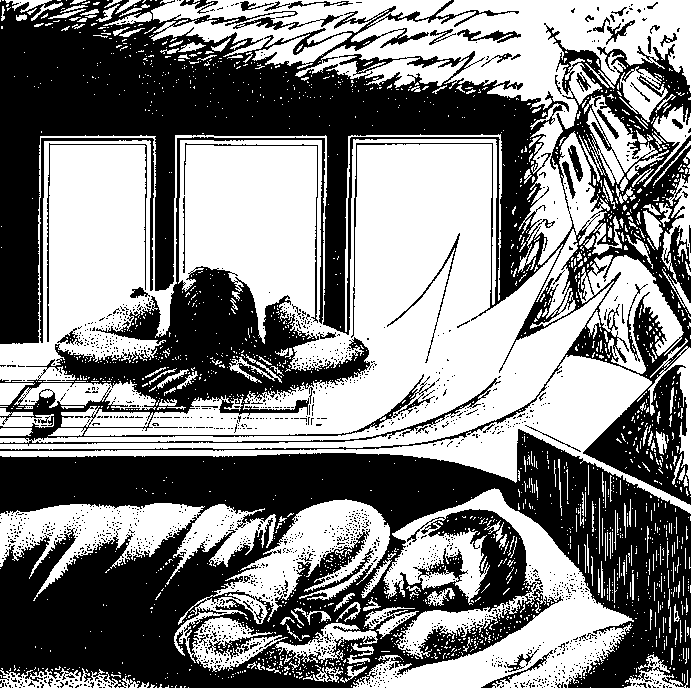 Воздушный замок (Журнальный вариант) pic3.png