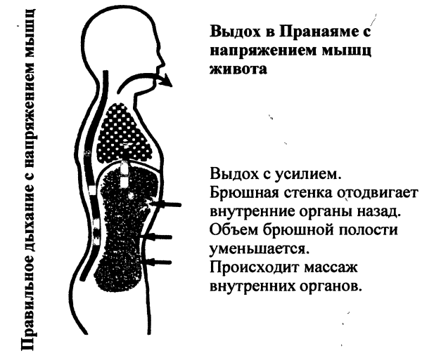 Пранаяма. Путь к тайнам йоги img_19.png