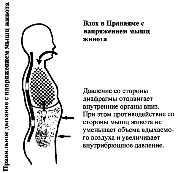 Пранаяма. Путь к тайнам йоги img_20.png