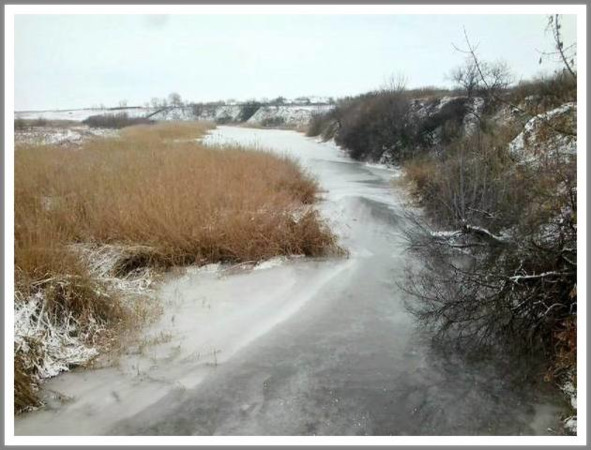 Кошкин сын _36.jpg