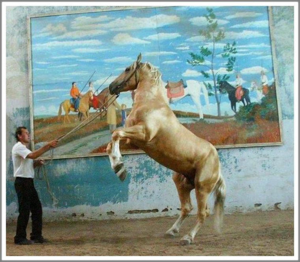Кошкин сын _45.jpg