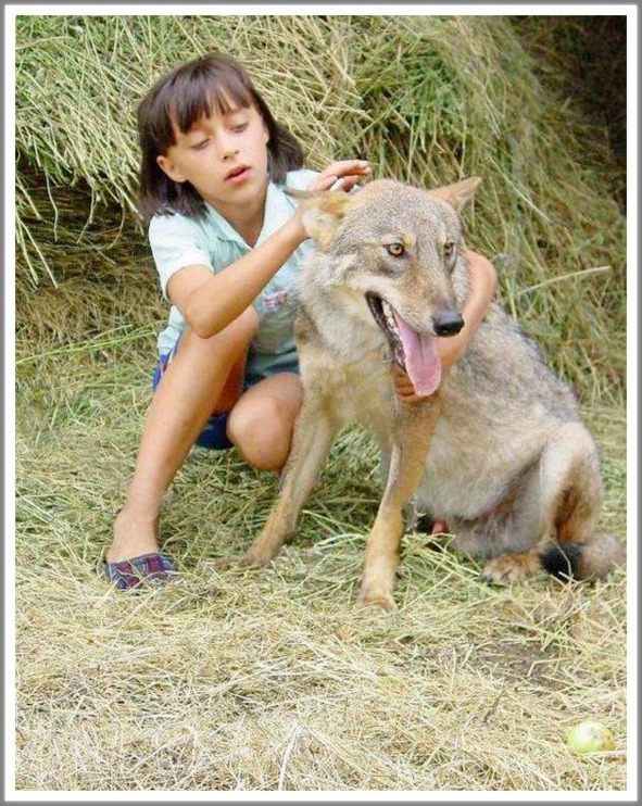 Кошкин сын _6.jpg