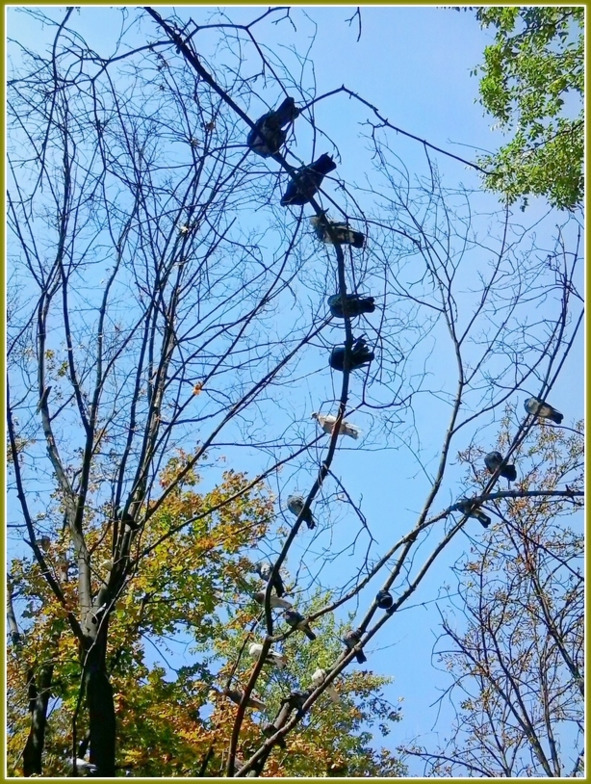 Кошкин сын _58.jpg