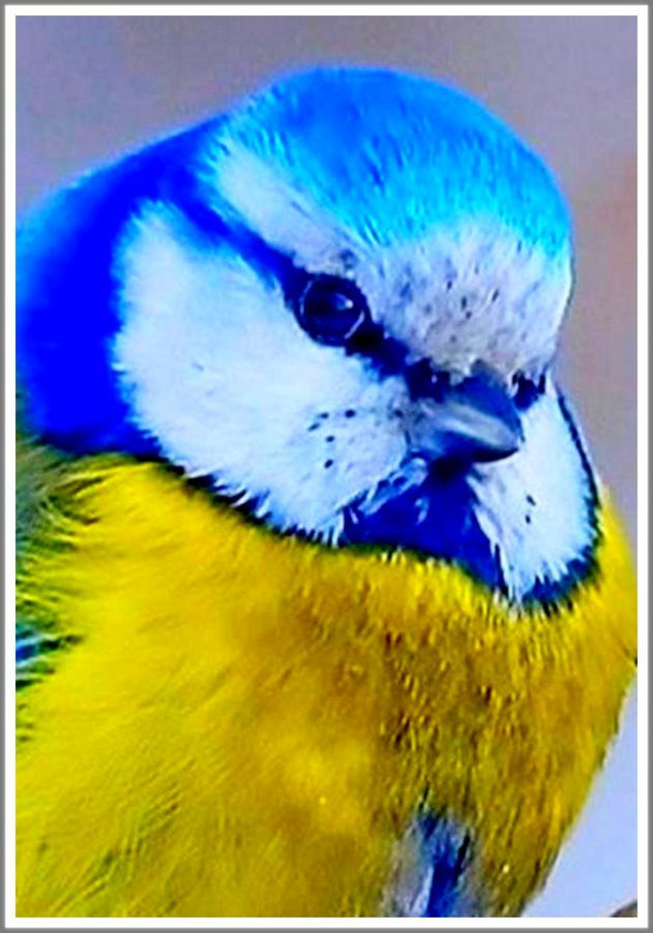 Кошкин сын _69.jpg