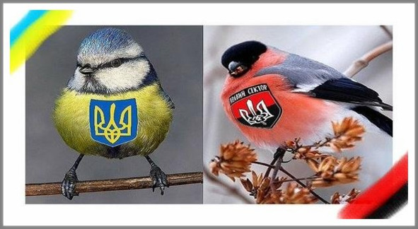 Кошкин сын _73.jpg