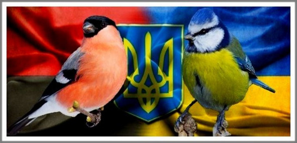 Кошкин сын _74.jpg