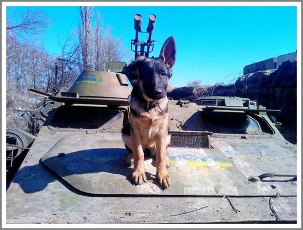 Кошкин сын _107.jpg