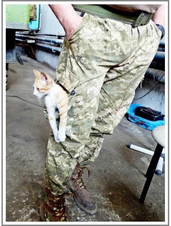 Кошкин сын _90.jpg