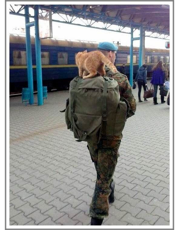 Кошкин сын _93.jpg