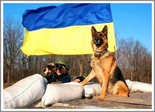 Кошкин сын _96.jpg
