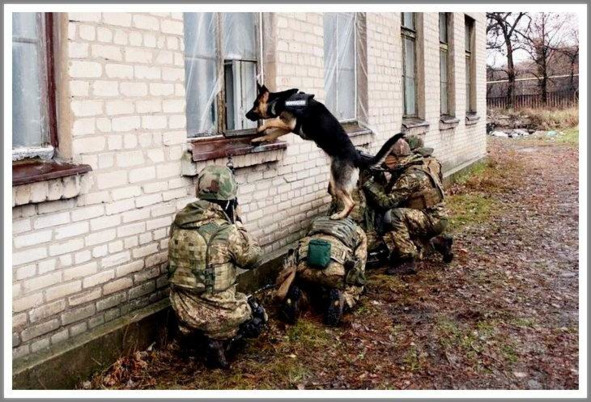 Кошкин сын _98.jpg