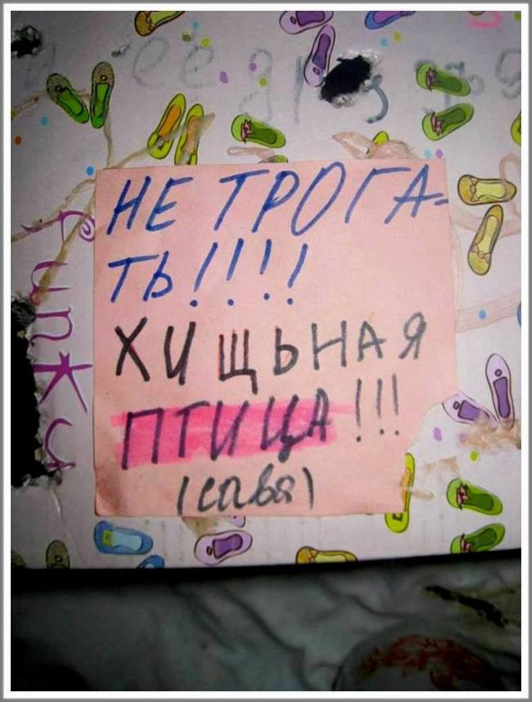 Кошкин сын _124.jpg