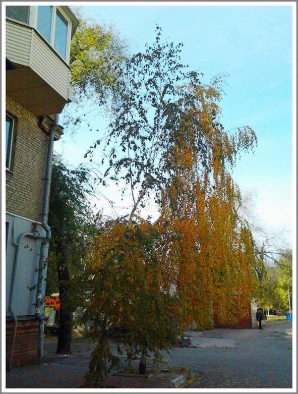 Кошкин сын _152.jpg