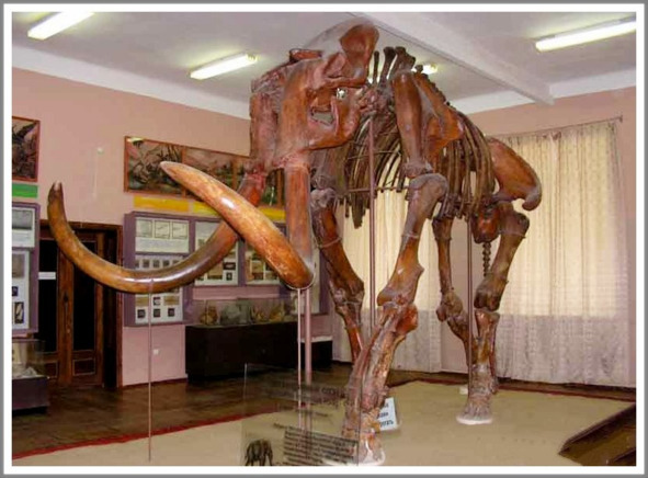 Кошкин сын _12.jpg