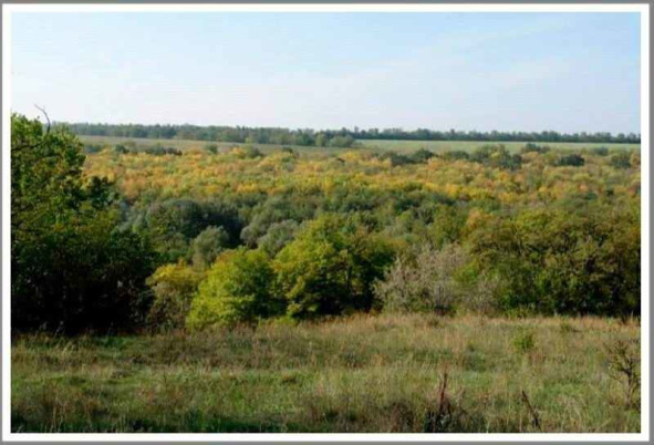 Украина половецкая _12.jpg
