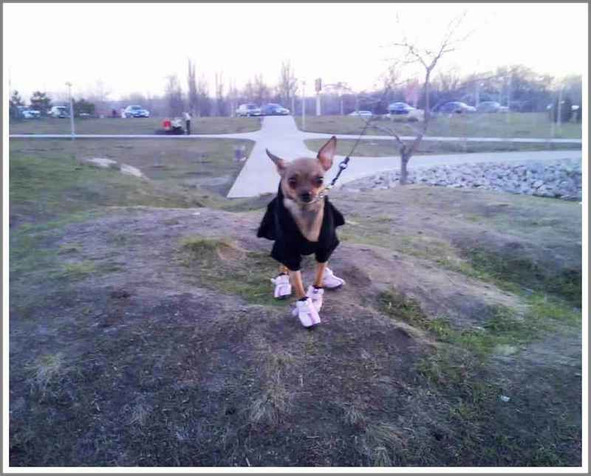 Сны мёртвого человека _30.jpg