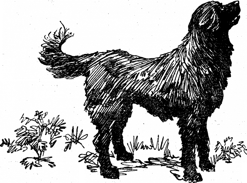 Мальчик у моря i_033.png