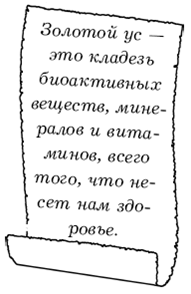 Диабет. Лучшие рецепты народной медицины от А до Я pic_26.png