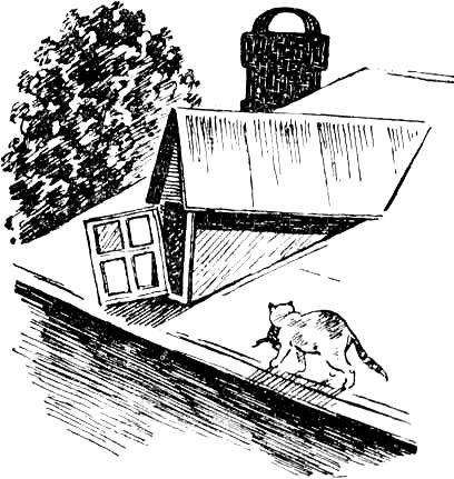 Золотушка (с илл.) i_010.jpg