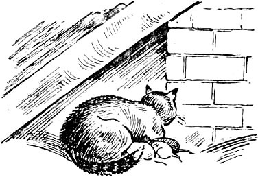 Золотушка (с илл.) i_011.jpg