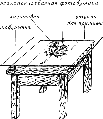 Фотограмма i_001.png