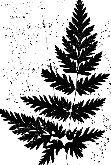 Фотограмма i_004.png