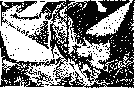 Кошка Гриффина _1.png