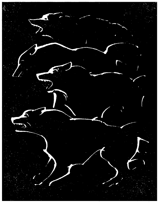 Искатель. 1971. Выпуск №1 i_007.png