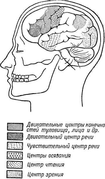 От инстинкта до разума i_023.jpg