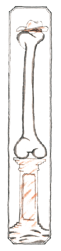 Кот и пес ash2_01b.png