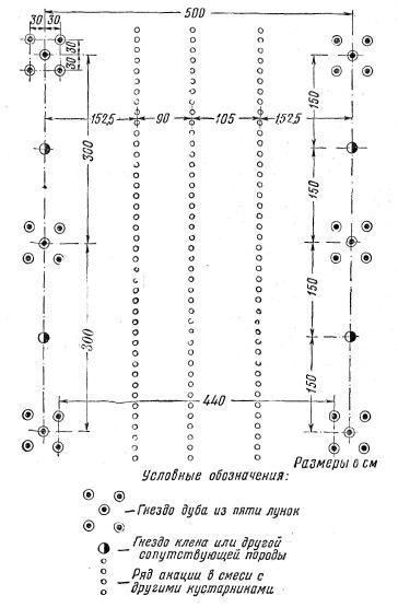 Агробиология i_087.jpg