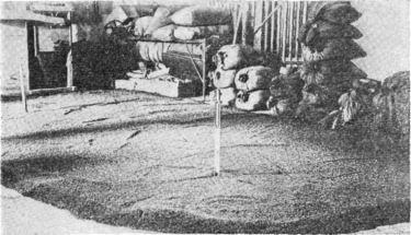 Агробиология i_014.jpg